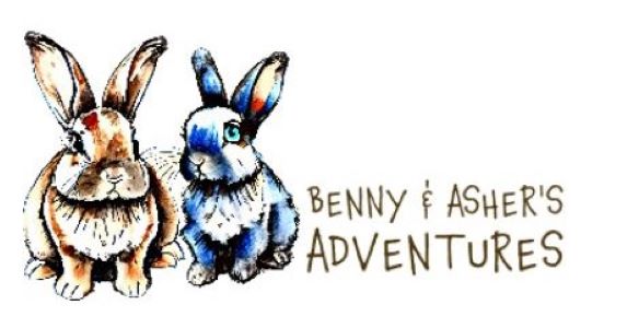 Benny & Asher’s Adventures